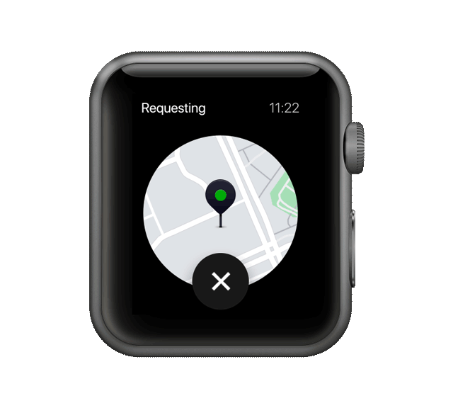 AppleWatch_requesting